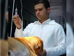 Veterinário