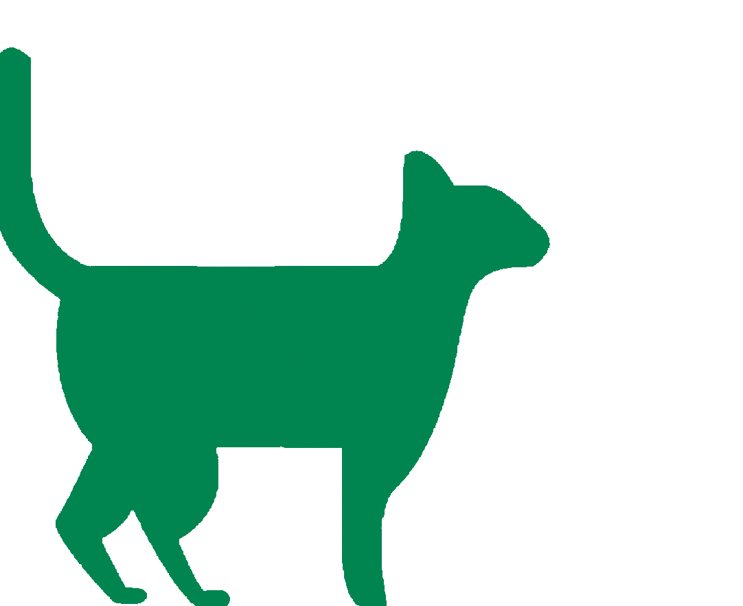 loader image